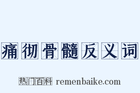 痛彻骨髓反义词是什么意思的图片